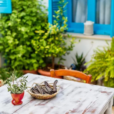 Bed & Breakfast Cypriot Swallow Boutique