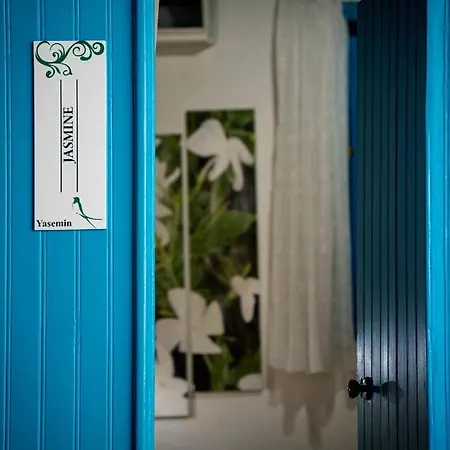 Cypriot Swallow Boutique Bed & Breakfast Nicosia