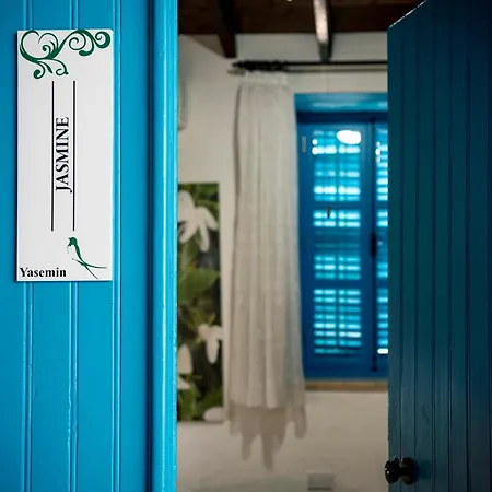 לינה וארוחת בוקר Cypriot Swallow Boutique