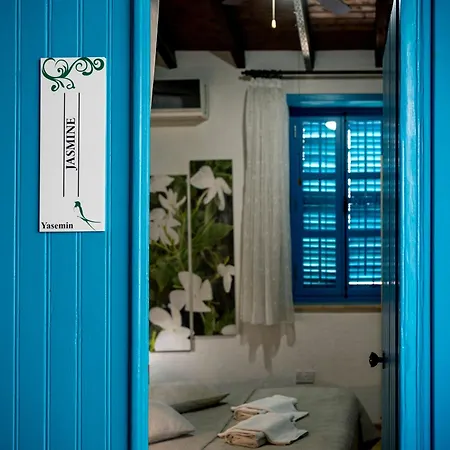 לינה וארוחת בוקר Cypriot Swallow Boutique
