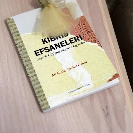 Bed & Breakfast Cypriot Swallow Boutique Nicosia