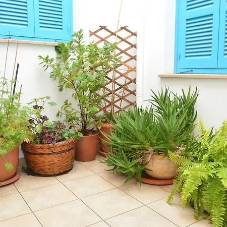 Cypriot Swallow Boutique 3*