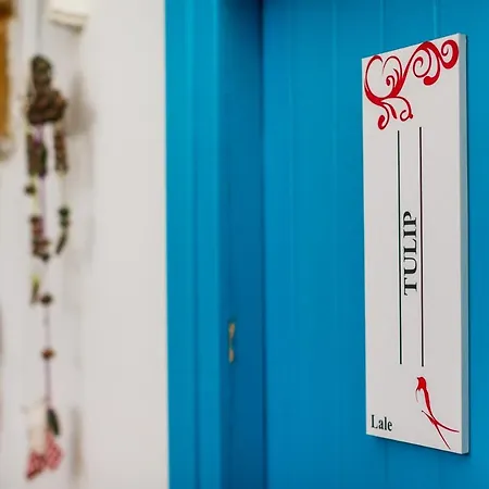 Cypriot Swallow Boutique לינה וארוחת בוקר