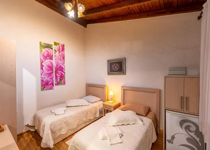 Cypriot Swallow Boutique Bed & Breakfast Nicosia