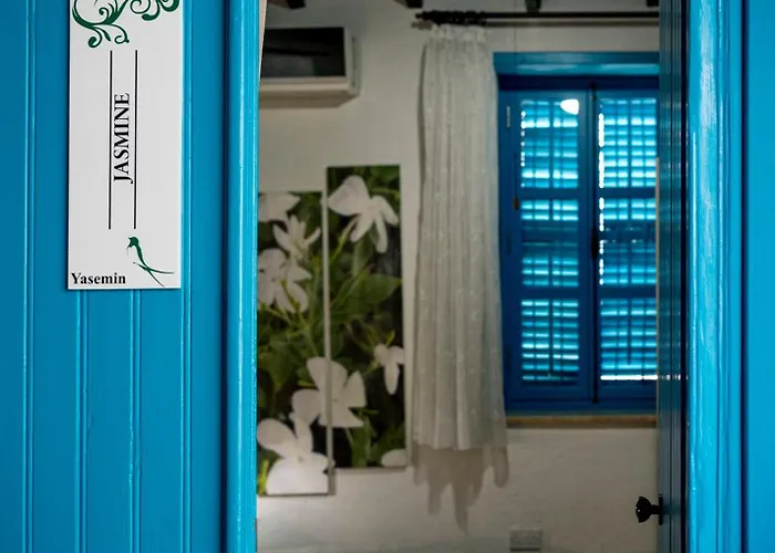 Bed & Breakfast Cypriot Swallow Boutique