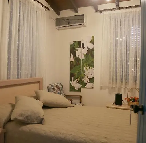 Cypriot Swallow Boutique Bed & Breakfast Nicosia