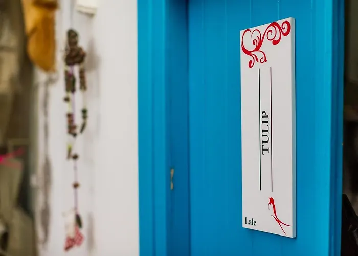 Cypriot Swallow Boutique Bed & Breakfast