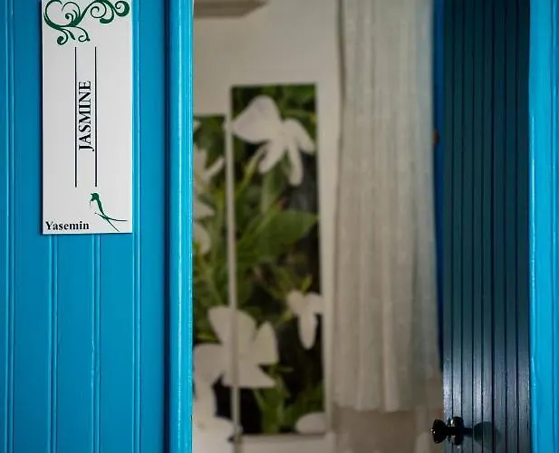 Cypriot Swallow Boutique Panzió Nicosia