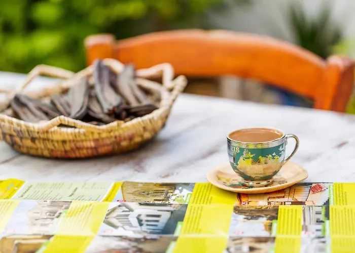 Cypriot Swallow Boutique